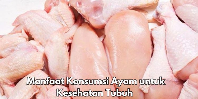 Manfaat Lain Konsumsi Ayam bagi Tubuh, Dipercaya Bisa Mengontrol Tekanan Darah