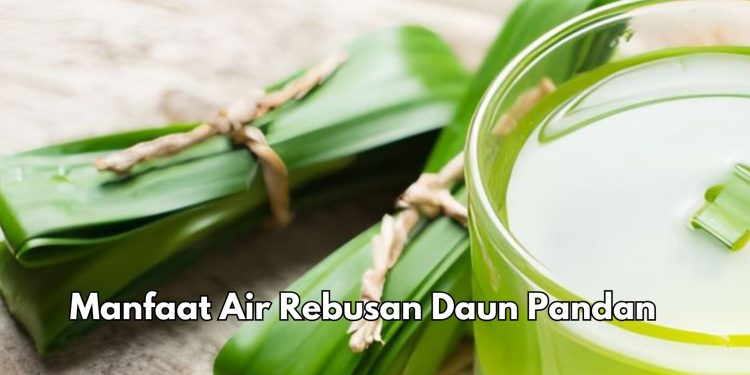 Cek 8 Manfaat Air Rebusan Daun Pandan, Salah Satunya Bisa Menjaga Kesehatan Jantung