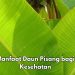 7 Manfaat Daun Pisang bagi Kesehatan, Salah Satunya Bisa Melindungi Kulit, Cek Riciannya di Sini
