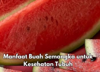 Cek 7 Manfaat Buah Semangka Ini, Bikin Kulit dan Rambut Terawat Alami