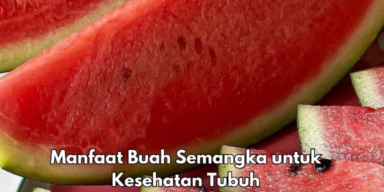 Cek 7 Manfaat Buah Semangka Ini, Bikin Kulit dan Rambut Terawat Alami