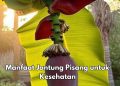 Jantung Pisang Punya Manfaat Menjaga Kesehatan Usus, Cek Manfaat Lengkapnya di Sini