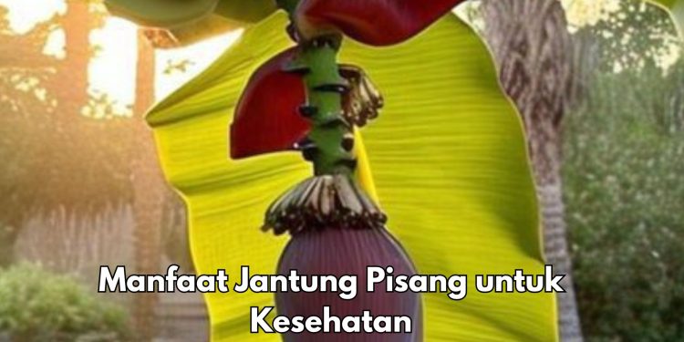 Jantung Pisang Punya Manfaat Menjaga Kesehatan Usus, Cek Manfaat Lengkapnya di Sini