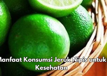 Manfaat Lain Jeruk Nipis untuk Kesehatan Tubuh, Ampuh Menurunkan Berat Badan, Cek Rincinya di Sini