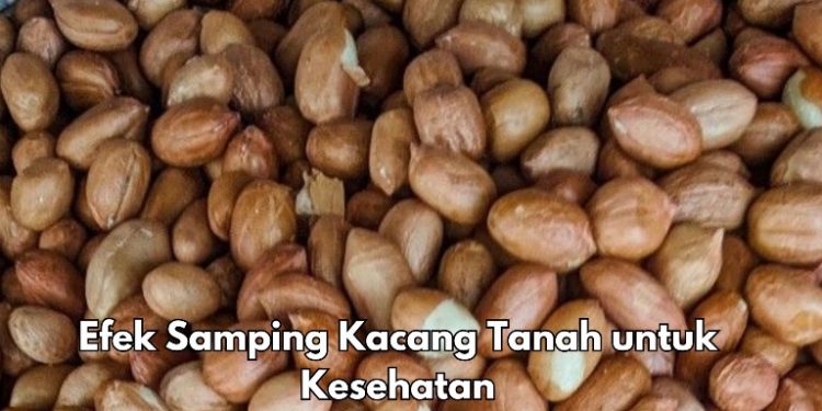 Ini Efek Samping Kacang Tanah yang Jarang Diketahui, Dapat Mengganggu Penyerapan Nutrisi