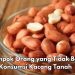 Kelompok Ini Perlu Hindari Makan Kacang Tanah, Cek di Sini! Salah Satunya Orang yang Punya Batu Ginjal