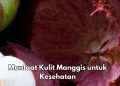 Kulit Manggis Bisa Mencegah Sembelit, Cek Manfaat Lengkapnya di Sini