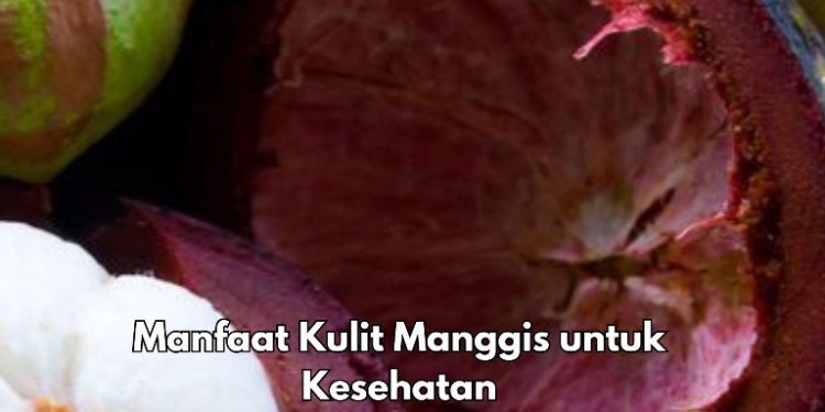 Kulit Manggis Bisa Mencegah Sembelit, Cek Manfaat Lengkapnya di Sini