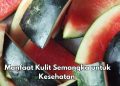 7 Manfaat Kulit Semangka bagi Tubuh, Salah Satunya Bisa Meningkatkan Libido, Cek Sekarang