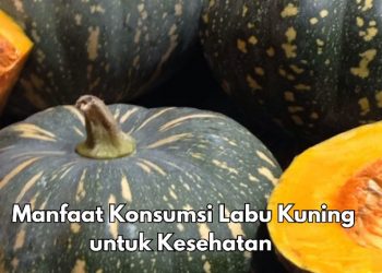 Bisa Meningkatkan Daya Tahan Tubuh, Konsumsi Labu Kuning Ini, Cek Manfaat di Sini
