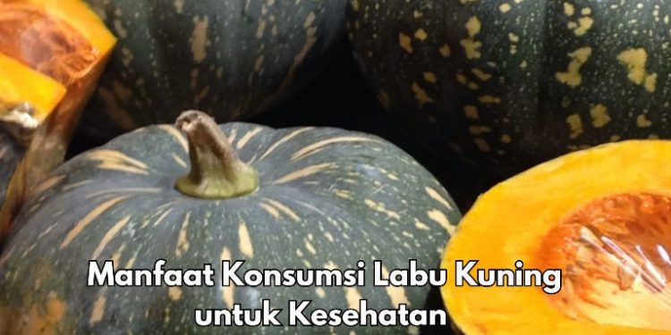 Bisa Meningkatkan Daya Tahan Tubuh, Konsumsi Labu Kuning Ini, Cek Manfaat di Sini