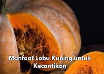Labu Kuning Baik untuk Kecantikan Kulit, cek 6 Manfaat di Sini, Cukup Rutinkan