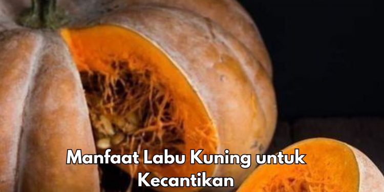 Labu Kuning Baik untuk Kecantikan Kulit, cek 6 Manfaat di Sini, Cukup Rutinkan