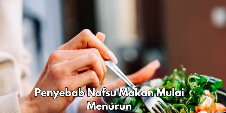 Cek 6 Penyebab Nafsu Makan Berkurang di Sini, Ini Hal Penting yang Perlu Diketahui
