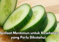 Manfaat Konsumsi Mentimun Sehari-hari, Dipercaya Dapat Mengontrol Gula Darah, Cek di Sini