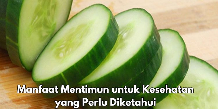 Manfaat Konsumsi Mentimun Sehari-hari, Dipercaya Dapat Mengontrol Gula Darah, Cek di Sini