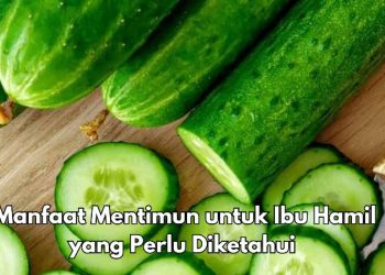 Cek Manfaat Mentimun di Sini, Baik untuk Ibu Hamil, Cukup Konsumsi Sesuai Kebutuhan