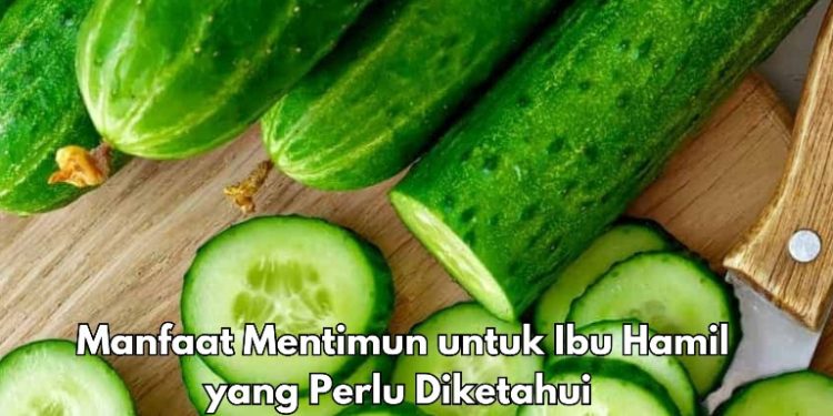 Cek Manfaat Mentimun di Sini, Baik untuk Ibu Hamil, Cukup Konsumsi Sesuai Kebutuhan