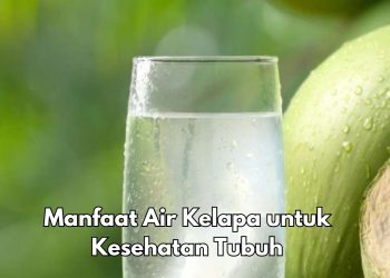 Punya Kandungan Mineral, Konsumsi Buah Kelapa Sehari-hari Baik untuk Kesehatan, Cek Manfaat di Sini