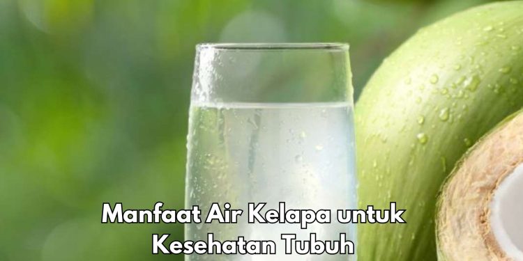 Punya Kandungan Mineral, Konsumsi Buah Kelapa Sehari-hari Baik untuk Kesehatan, Cek Manfaat di Sini