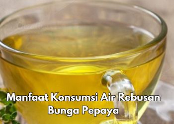 Konsumsi Air Rebusan Bunga Pepaya Bisa Menurunkan Tekanan Darah, Cek Manfaat Lainnya di sini