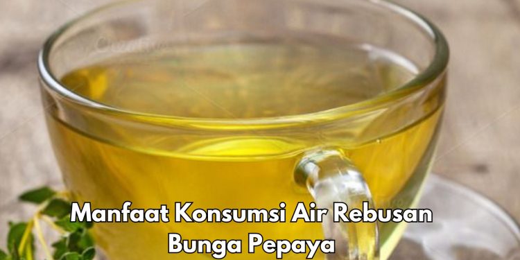 Konsumsi Air Rebusan Bunga Pepaya Bisa Menurunkan Tekanan Darah, Cek Manfaat Lainnya di sini