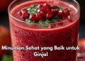 Cek di Sini! Minuman Ini Baik untuk Menjaga Kesehatan Ginjal, Salah Satunya Jus Delima