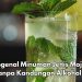 Tanpa Mengandung Alkohol, Ini Minuman Mojito yang Perlu Kamu Ketahui