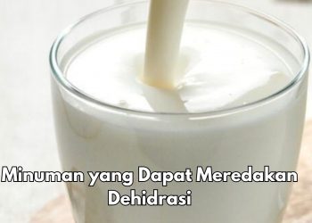 Ini 6 Minuman Sehat Biar Gak Dehidrasi, Aman Dikonsumsi Sehari-hari, Salah Satunya Bikin Susu Tanpa Gula