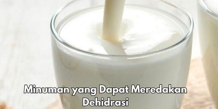 Ini 6 Minuman Sehat Biar Gak Dehidrasi, Aman Dikonsumsi Sehari-hari, Salah Satunya Bikin Susu Tanpa Gula