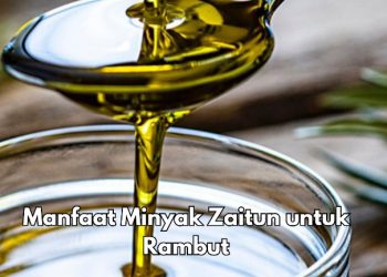 Cek Sekarang, Ini 6 Manfaat Minyak Zaitun, Dapat Mengurangi Kutu Rambut