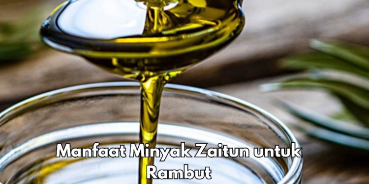 Cek Sekarang, Ini 6 Manfaat Minyak Zaitun, Dapat Mengurangi Kutu Rambut