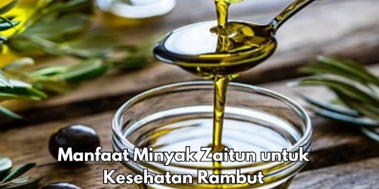 Cek di Sini! Dapat Mengurangi Kutu Rambut, Ini Manfaat Minyak Zaitun