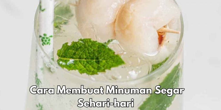 Cara Membuat Minuman Segar, Cocok Dikonsumsi Sehari-hari, cobain Mojito Leci