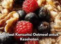 7 Manfaat Oatmeal bagi Tubuh, Cek di Sini! Ampuh Melancarkan Pencernaan