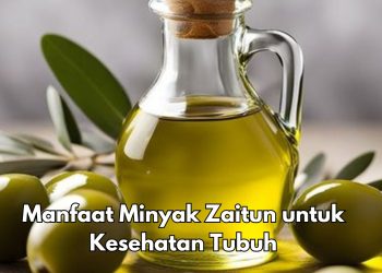Manfaat Olive Oil bagi Kesehatan Tubuh, Cek di Sini! Ampuh Memelihara Fungsi Otak