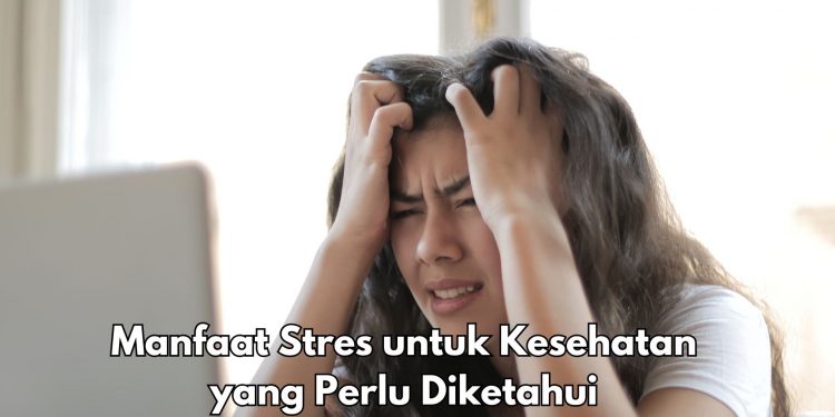 5 Manfaat Stres bagi Kesehatan, Dapat Meningkatkan Energi Tubuh, Cek Sekarang