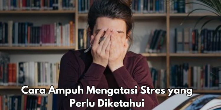 Cara Ini Ampuh Menghilangkan Stres, Coba Atur Pola Tidur, Lakukan Rutin!