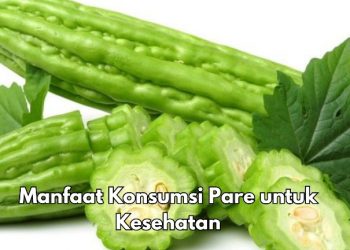 Ini 10 Manfaat Konsumsi Pare Sehari-hari, Salah Satunya Baik untuk Kesehatan Mata