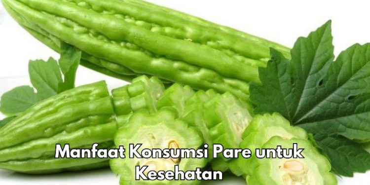 Ini 10 Manfaat Konsumsi Pare Sehari-hari, Salah Satunya Baik untuk Kesehatan Mata