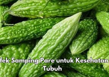 Ini 5 Efek Samping dari Makan Pare Berlebihan, Bisa Sebabkan Reaksi Alergi, Cek Sekarang