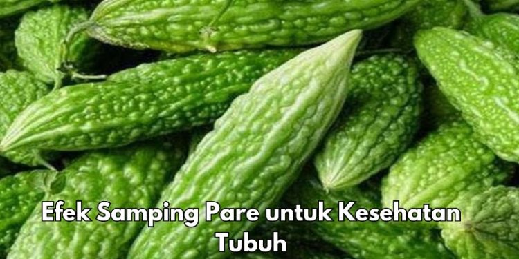 Ini 5 Efek Samping dari Makan Pare Berlebihan, Bisa Sebabkan Reaksi Alergi, Cek Sekarang