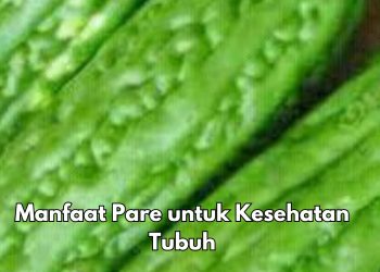 10 Manfaat Pare untuk Kesehatan, Salah Satunya Dapat Menjaga Kesehatan Mata
