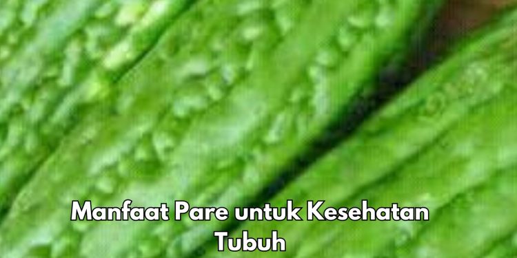 10 Manfaat Pare untuk Kesehatan, Salah Satunya Dapat Menjaga Kesehatan Mata