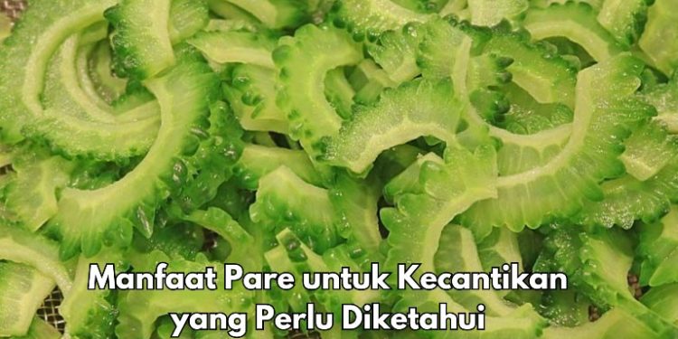 Cek 7 Manfaat Konsumsi Pare bagi Kecantikan, Salah Satunya Bisa Mengatasi Ruam Kulit