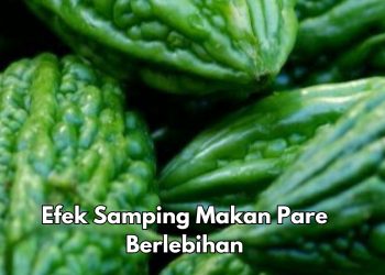 Ini 5 Efek Samping Makan Pare Berlebihan, Hati-hati! Bisa Sebabkan Keguguran