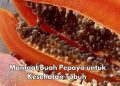 7 Manfaat Buah Pepaya bagi Tubuh, Salah Satunya Bisa Melancarkan Pencernaan, Cek di Sini
