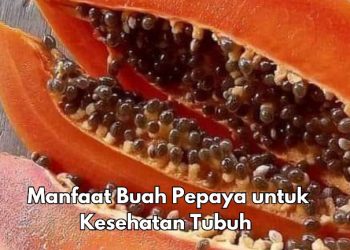 7 Manfaat Buah Pepaya bagi Tubuh, Salah Satunya Bisa Melancarkan Pencernaan, Cek di Sini