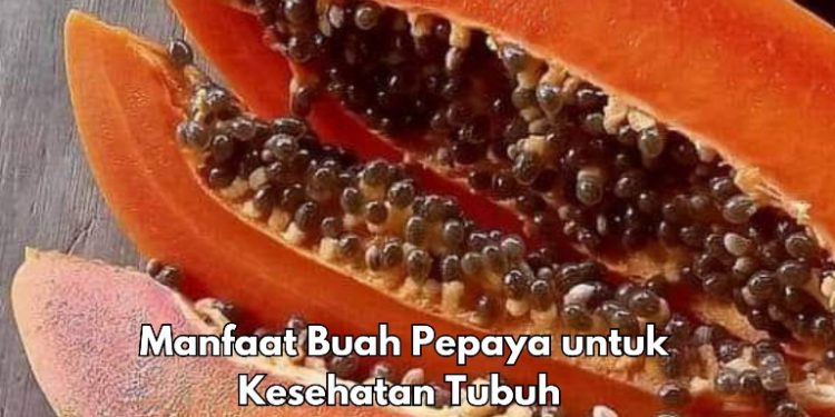 7 Manfaat Buah Pepaya bagi Tubuh, Salah Satunya Bisa Melancarkan Pencernaan, Cek di Sini