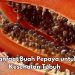 7 Manfaat Buah Pepaya bagi Tubuh, Salah Satunya Bisa Melancarkan Pencernaan, Cek di Sini